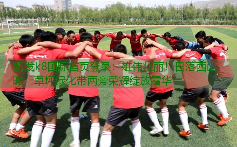 雄伟壮丽！日落西山时，草坪绿化带两旁荣耀绽放霜华