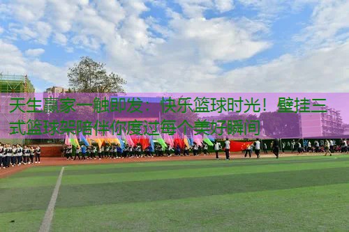 快乐篮球时光！壁挂三式篮球架陪伴你度过每个美好瞬间
