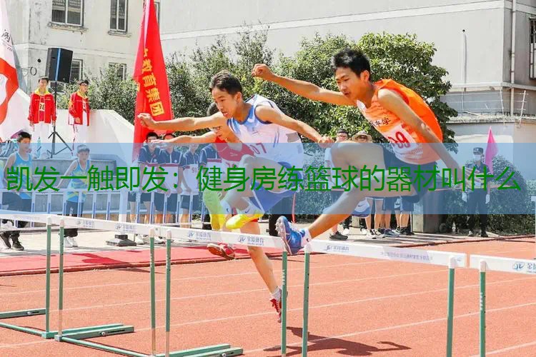 健身房练篮球的器材叫什么