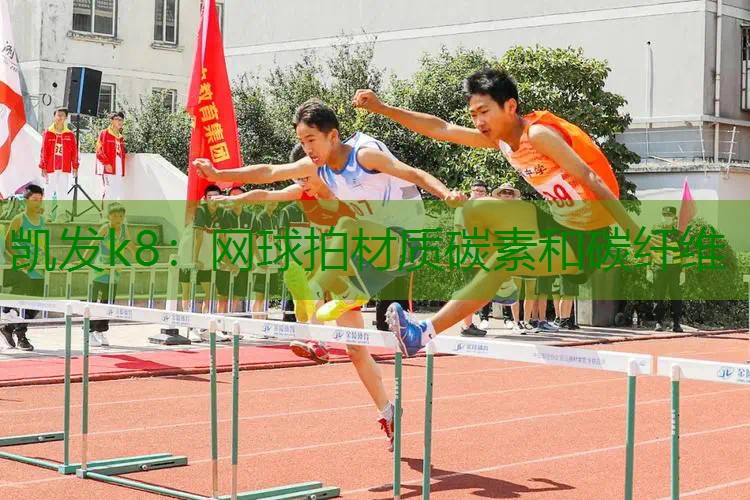 网球拍材质碳素和碳纤维